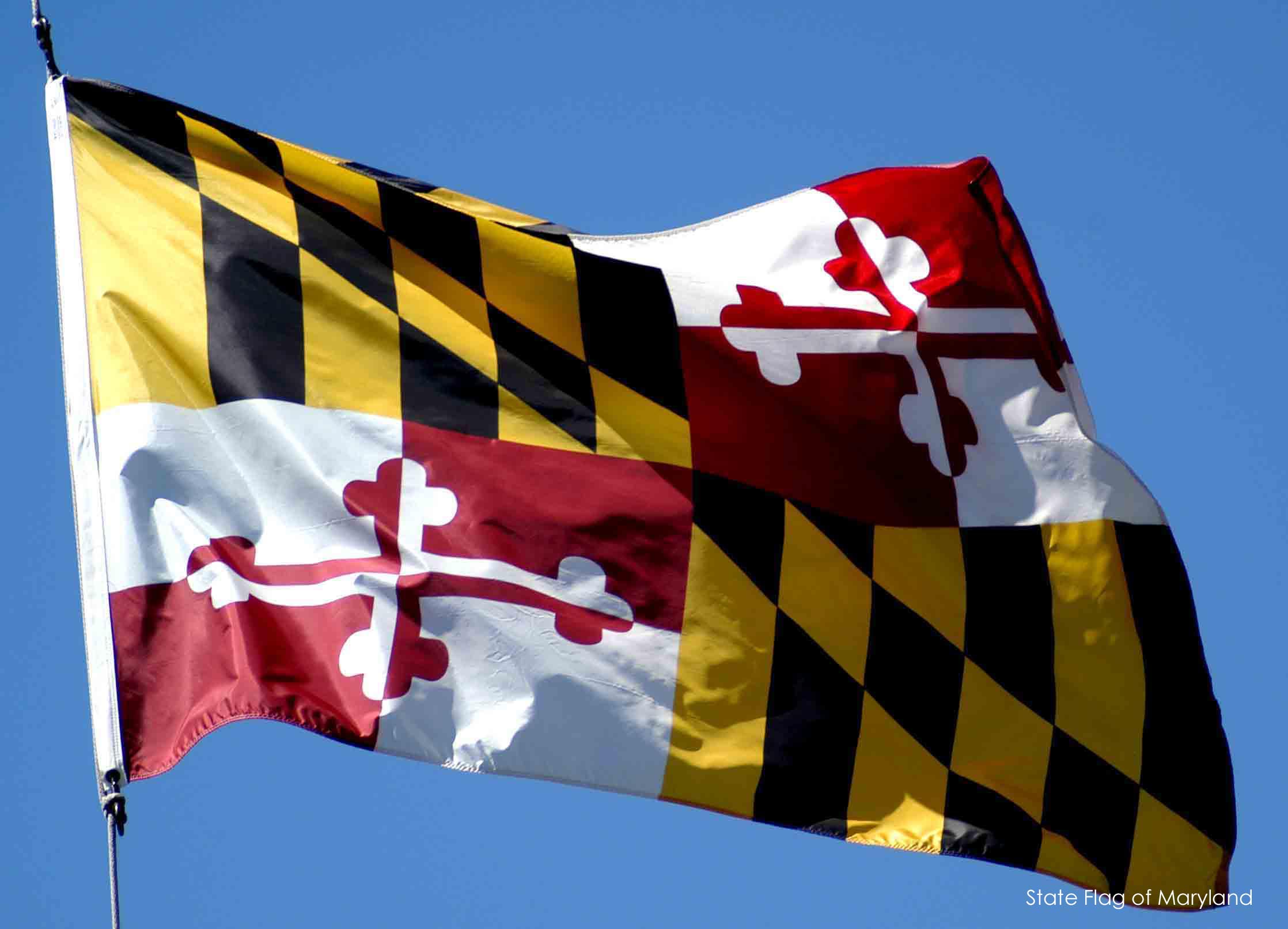 Maryland Flag