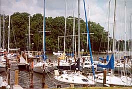 [photo, Sailboats at Nabbs Creek, Anne Arundel County, Maryland]