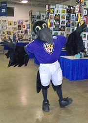 [photo, Poe, the Baltimore Ravens mascot, Maryland State Fair, Timonium, Maryland]