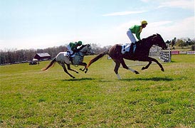 [photo, Horse racing, Marlborough Hunt Races, Roedown Farm, Davidsonville, Maryland]