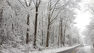 [photo, Snow, Glen Burnie, Maryland]