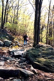 [photo, Hikers in Catoctin Mountain National Park, Thurmont, Frederick County, Maryland]