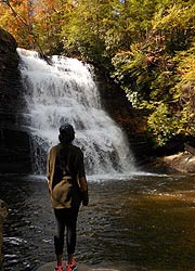 [photo, Muddy Creek Falls at Swallow Falls State Park, north of Oakland (Garrett County), Maryland]