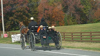 [photo, Amish family, horse, and buggy, south of Hughesville, Maryland]