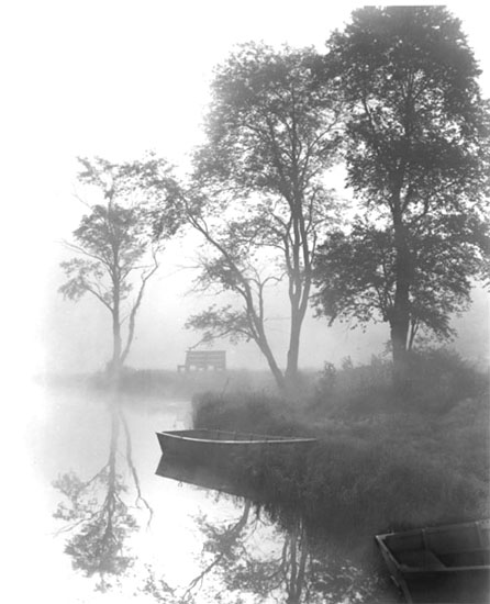 Fog at Herrington Manor, 1956