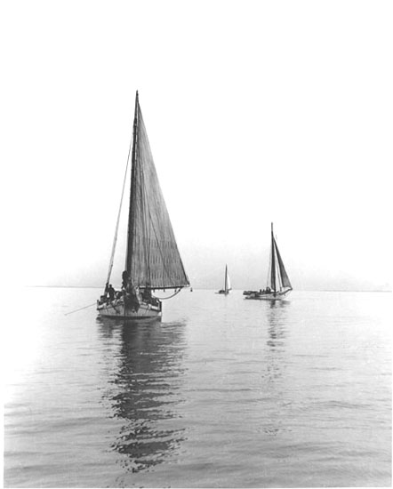 Skipjacks on the Chesapeake Bay, 1956
