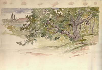A Tree in a Landscape 