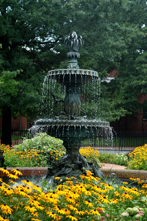Photograph of Fountain at Government House
