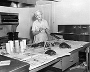 Picture of Helen Tawes Cooking Terrapin
