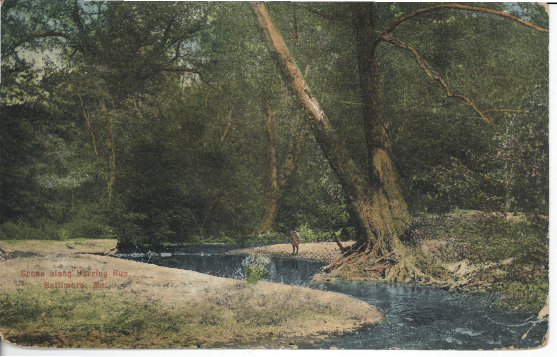 Postcard of Herring Run Park circa 1911
