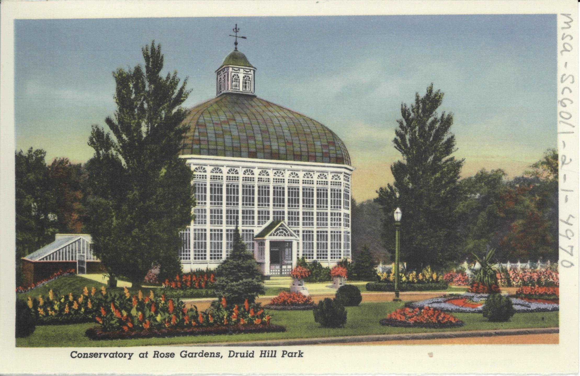 postcard of conservatory at Druid Hill Park circa 1930
