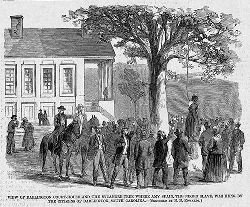View of Darlington Courthouse and the Sycamore Tree Where Amy Spain, the Negro Slave, Was Hung by the Citizens of Darlington, South Carolina. Slaveryimages dot com item 1324