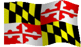 Photograph of Maryland Flag