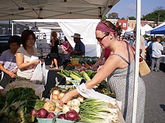 Maryland Agriculture, Farming