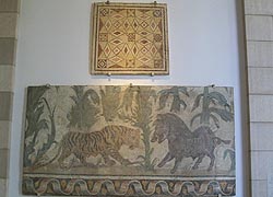 [photo, Mosaics from Antioch, Baltimore Museum of Art, Baltimore, Maryland]