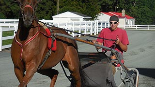 [photo, Harness racing, east of Denton (Caroline County), Maryland]