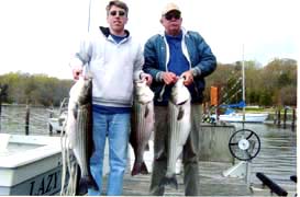 [photo, Rockfish catch (from Chesapeake Bay) of three fisherman, Severna Park, Maryland]