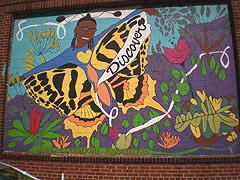 [photo, Child butterfly wall mural, Aliceanna St., Baltimore, Maryland]