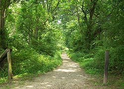 [photo, Trail in Fair Hill Natural Resources Management Area, Tawes Drive, Elkton (Cecil County), Maryland]