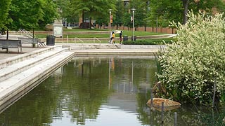 [photo, Albin O. Kuhn Library pond, University of Maryland Baltimore County, Baltimore, Maryland]