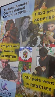 [photo, Anne Arundel County Animal Control Section poster, 411 Maxwell Frye Road, Millersville, Maryland]