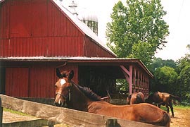 [photo, Horse farm, Davidsonville, Maryland]