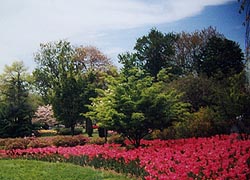 [photo, Sherwood Gardens, Guilford, Baltimore, Maryland]