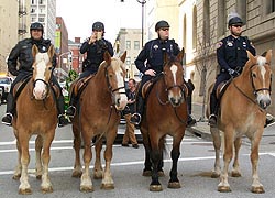 [photo, Mounted Unit, Baltimore City Police Department, Charles St., Baltimore, Maryland]