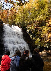 [photo, Muddy Creek Falls at Swallow Falls State Park, north of Oakland, Maryland]