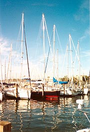 [photo, Sailboats, Back Creek, Annapolis, Maryland]