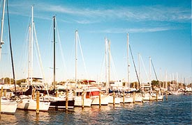 [photo, Sailboats, Back Creek, Annapolis, Maryland]