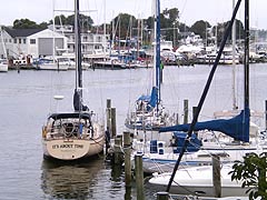 [photo, Sailboats, Back Creek, Annapolis, Maryland]