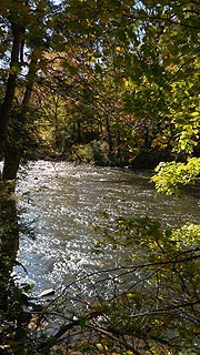 [photo, Youghiogheny River, Friendsville, Maryland]