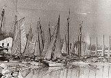 MSA SC 1477-6597: Skipjacks in Cambridge Harbor
