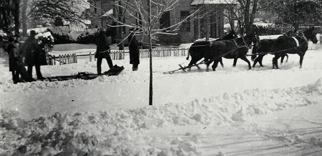 horse-drawn sled in snow