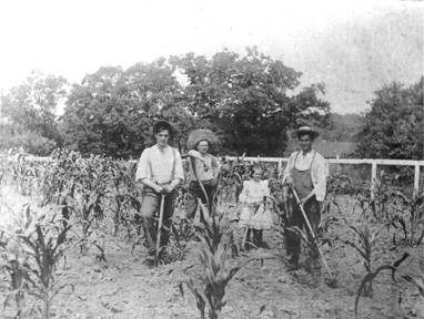image of farmers in cornfield