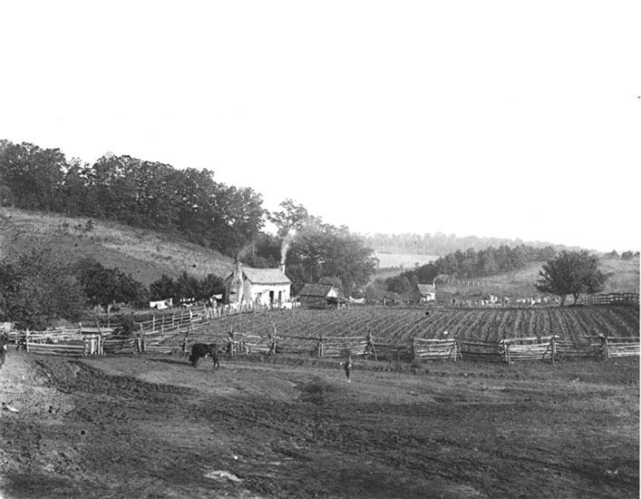 Farm near New Market, MD, 1905 circa