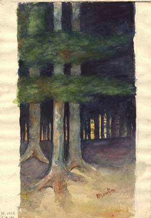 A Forest
