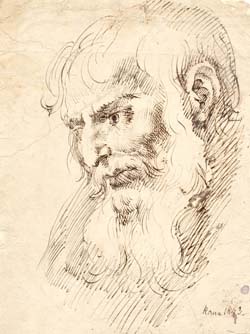 Head of a Bearded Man&nbsp;