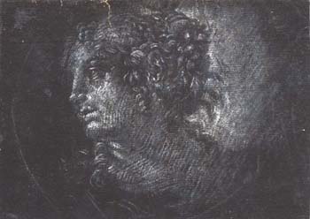 Head of a Man