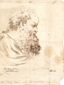 Head of a Bearded Man