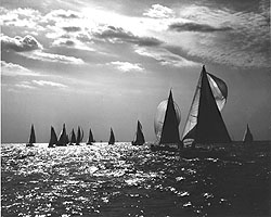 The Naval Academy sailing squadron