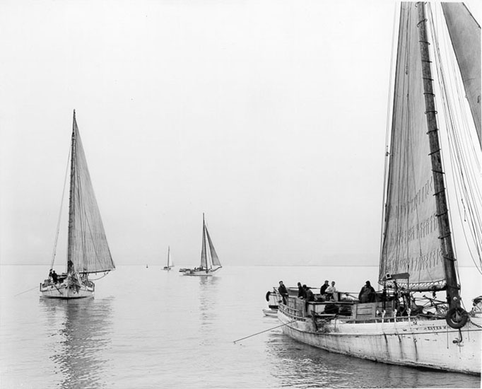 Oyster boats on the Chesapeake Bay, 1956