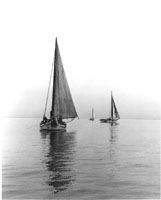 Sailboats on the Bay.