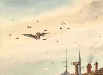 An Owl, Birds, and a Kite above Chimney Stacks and a Spire 