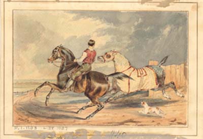 A Jockey with Horses 