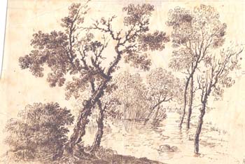Landscape Study with Trees 