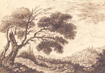 Landscape Study with Trees 