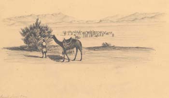 Peninsula of Sinai, 2nd Day Marah, Camel caravan