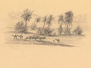 Pensinula of Sinai, Monday 14 March 1842.